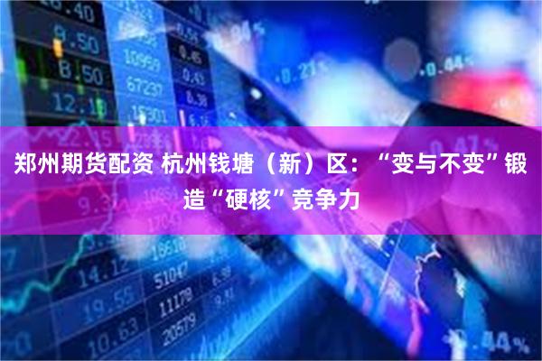郑州期货配资 杭州钱塘（新）区：“变与不变”锻造“硬核”竞争力