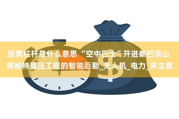 股票杠杆是什么意思 “空中巴士”开进秦巴深山 揭秘特高压工程的智能后勤_无人机_电力_宋立崑