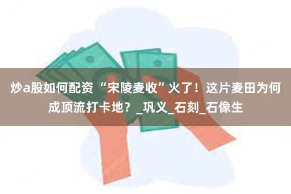 炒a股如何配资 “宋陵麦收”火了！这片麦田为何成顶流打卡地？_巩义_石刻_石像生